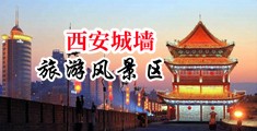 骚洞毛片免费看中国陕西-西安城墙旅游风景区
